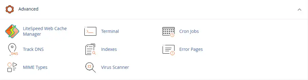 cPanel